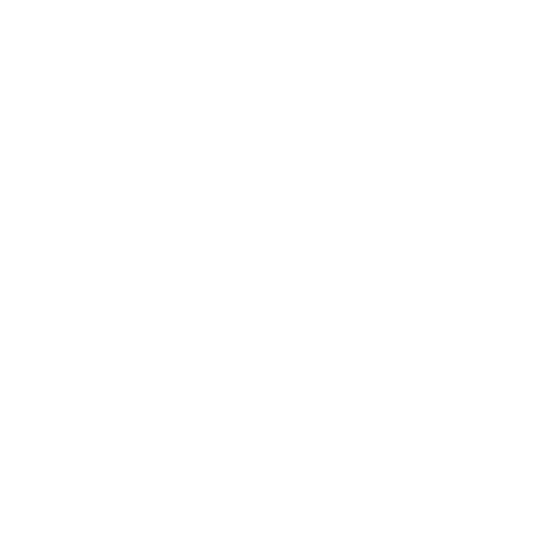 British Heart Foundation